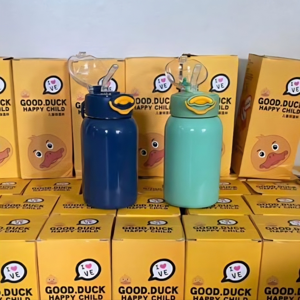 Aqua stainless steel water bottle